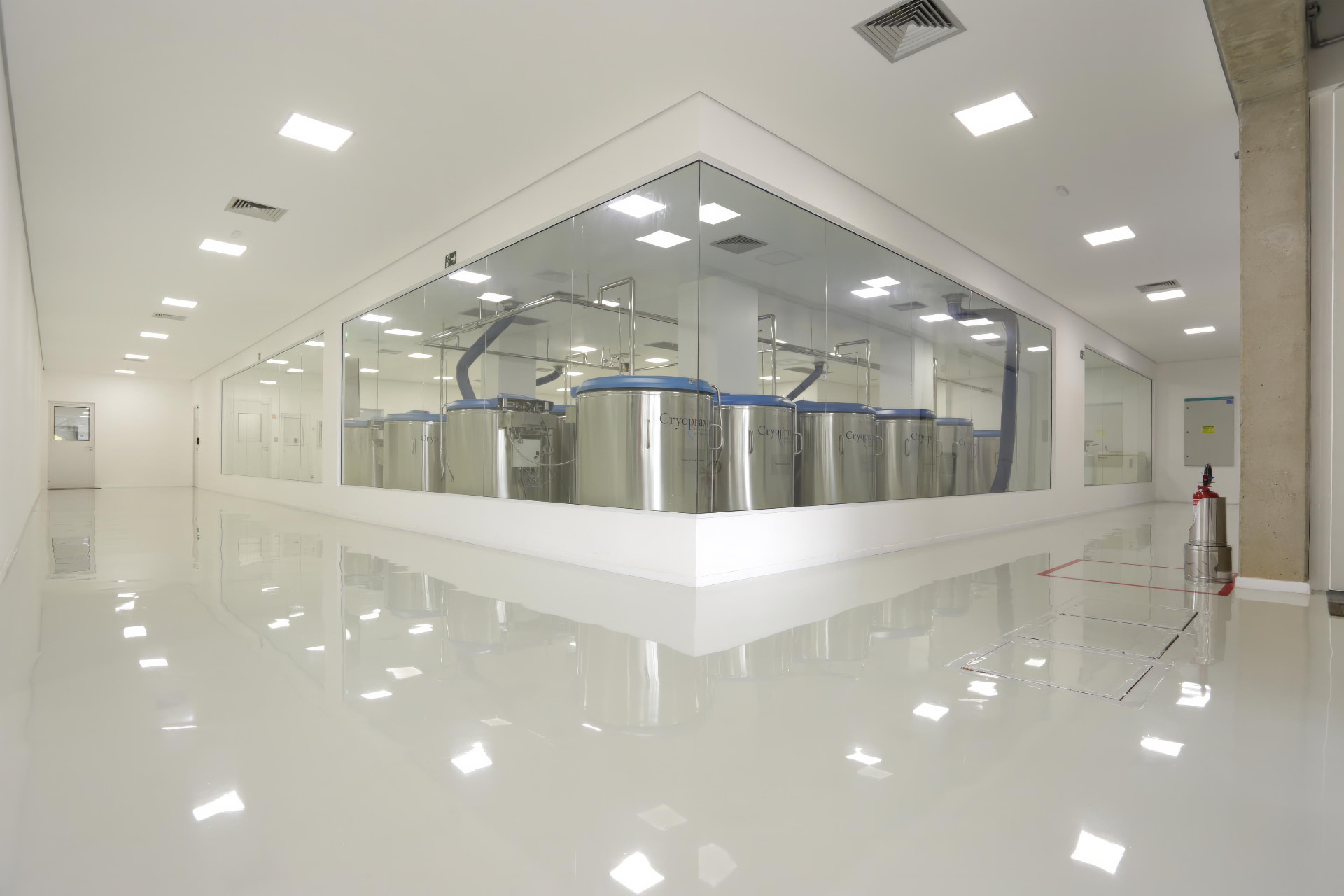 Sala criogênica da Cryopraxis com tanques de nitrogênio líquido em inox vistos através de janela de vidro em área limpa